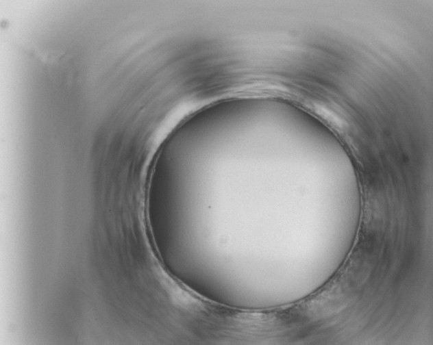 X0000088601478200706011150