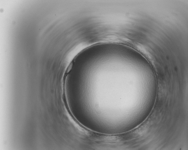 X0000088601479200706011150