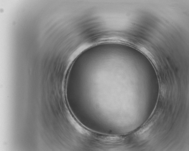 X0000088601482200706011150