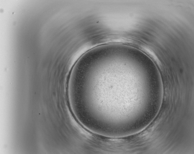 X0000088601483200706011150