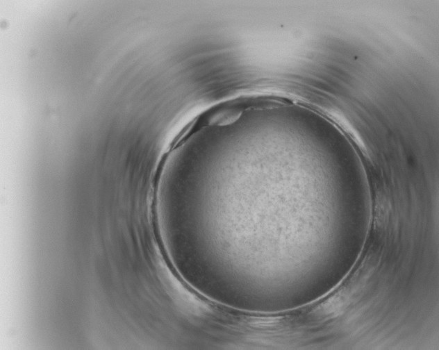 X0000088601484200706011150