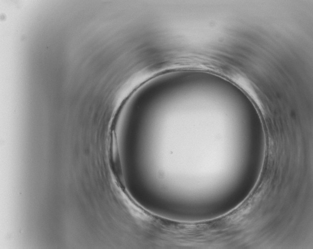 X0000088601485200706011150