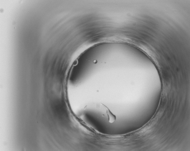 X0000088601486200706011150