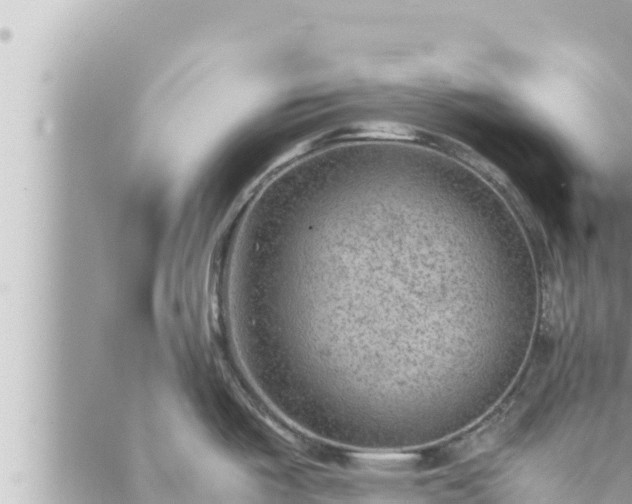 X0000088601487200706011150