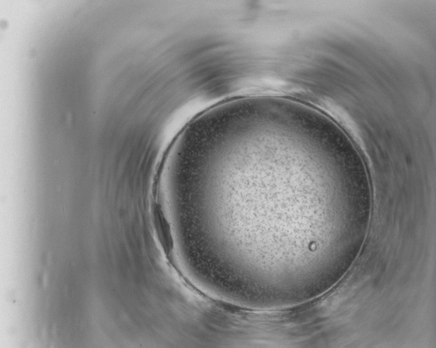 X0000088601488200706011150