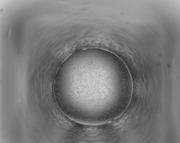 X0000088601489200706011149