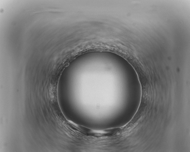 X0000088601490200706011149