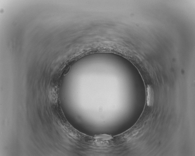 X0000088601491200706011149