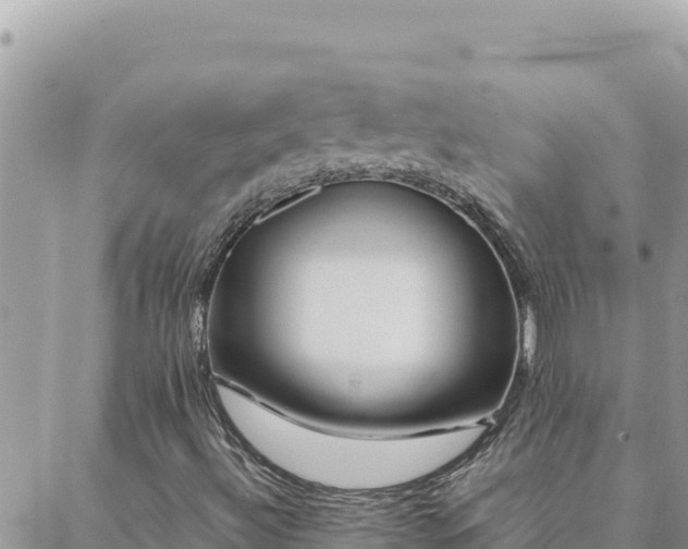 X0000088601492200706011149