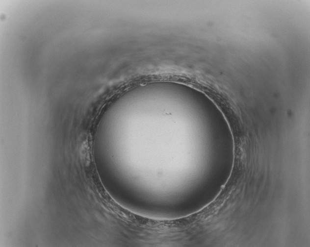 X0000088601493200706011149