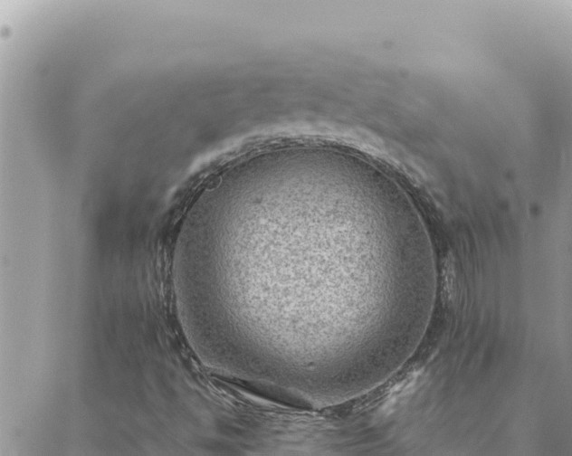 X0000088601494200706011149