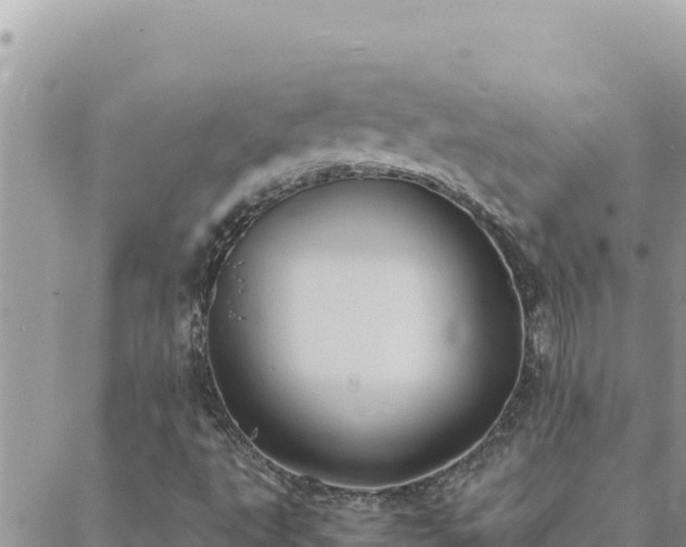 X0000088601495200706011149