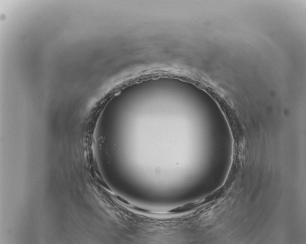 X0000088601496200706011149