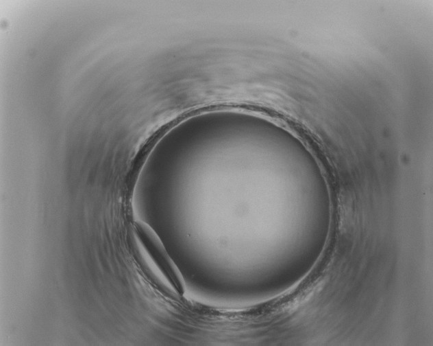 X0000088601497200706011149