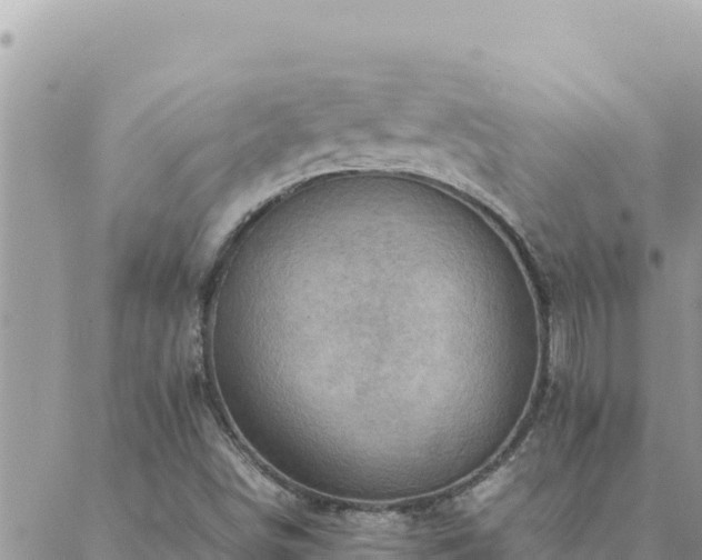 X0000088601498200706011149