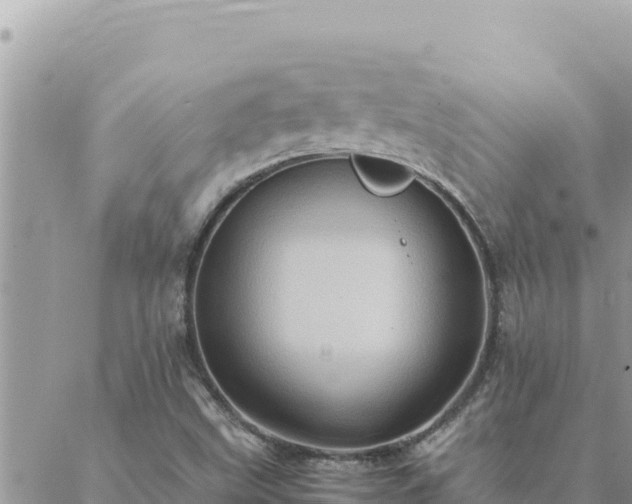 X0000088601499200706011149