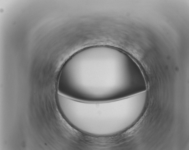 X0000088601500200706011149