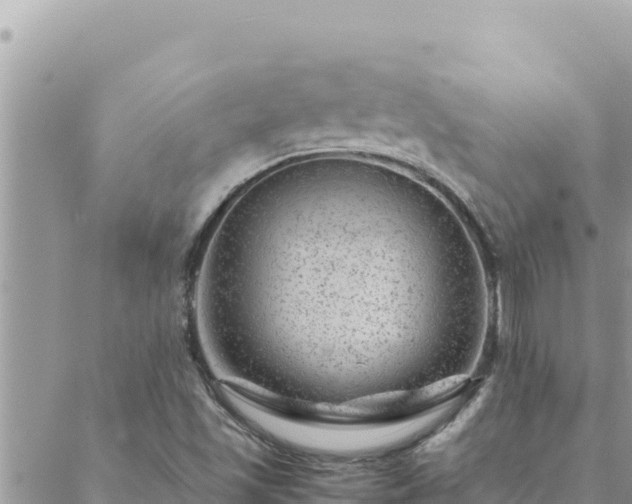 X0000088601501200706011149