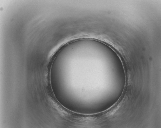 X0000088601502200706011149