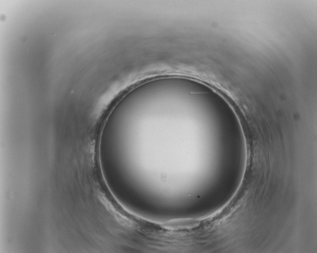 X0000088601503200706011149