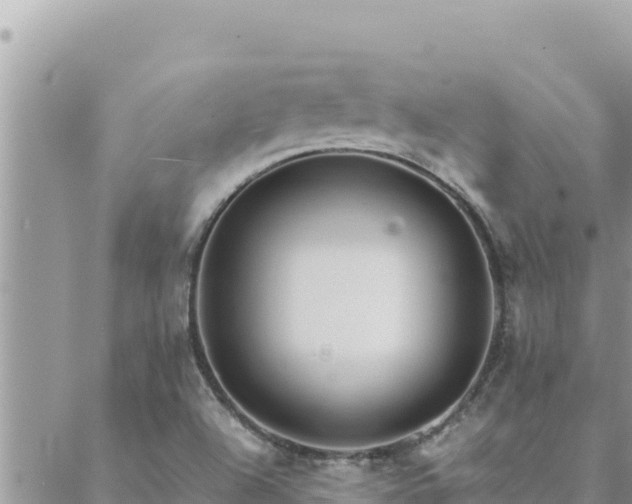 X0000088601504200706011149