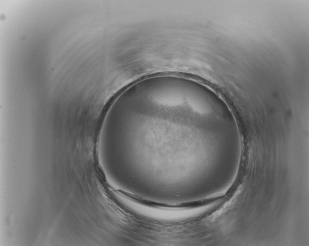 X0000088601505200706011149