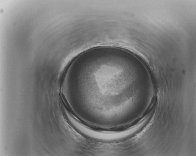 X0000088601506200706011149