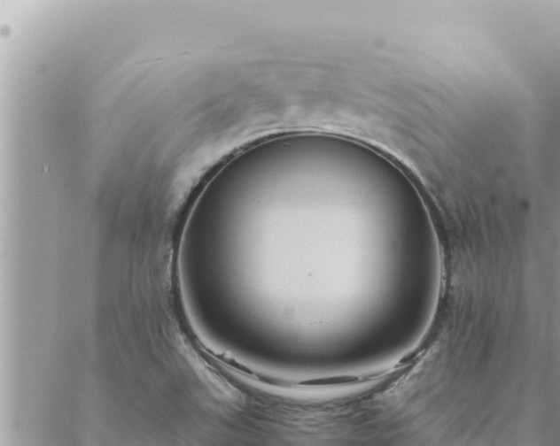 X0000088601507200706011149