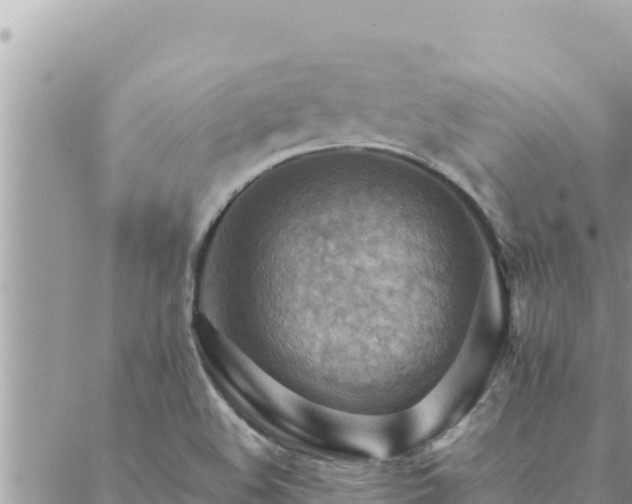 X0000088601508200706011149