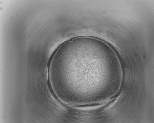 X0000088601509200706011150