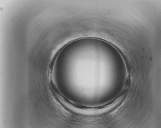 X0000088601510200706011150