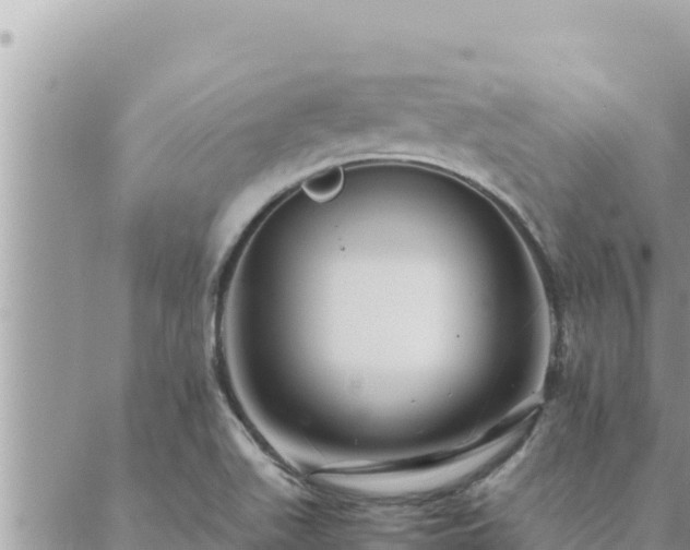 X0000088601511200706011150