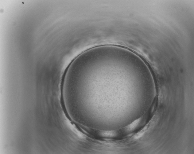 X0000088601512200706011150