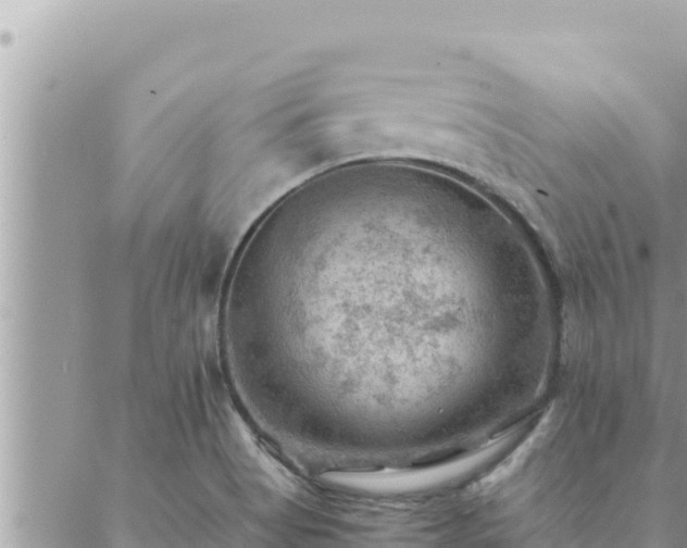 X0000088601513200706011150