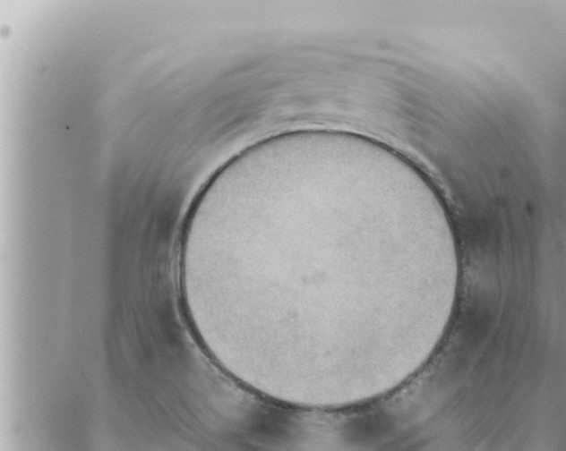 X0000088601514200706011150