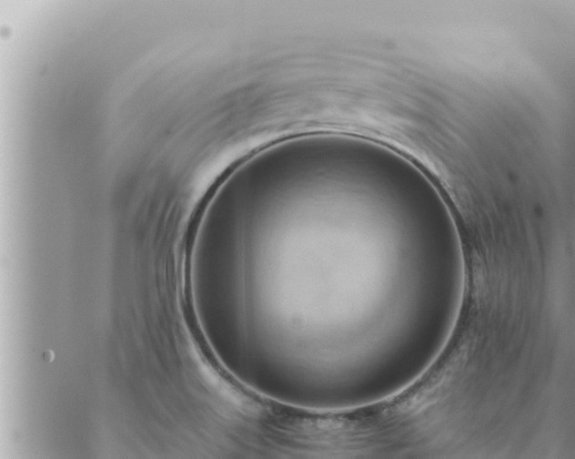 X0000088601515200706011150