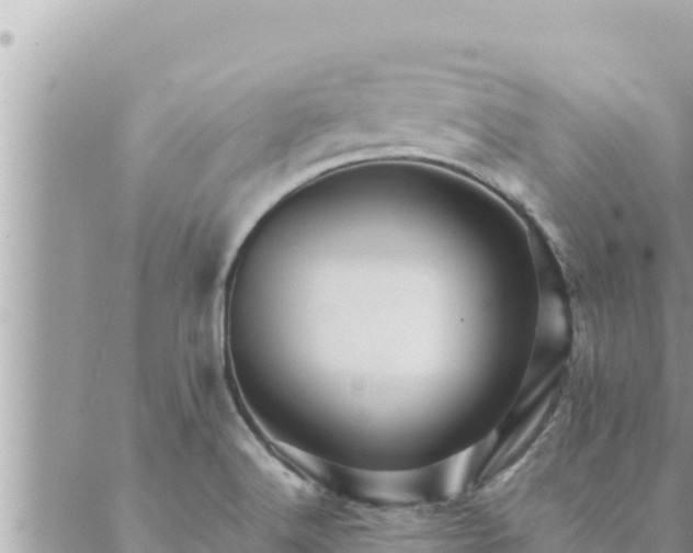 X0000088601516200706011150