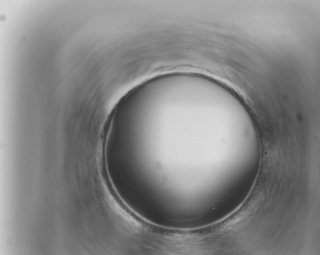 X0000088601518200706011150