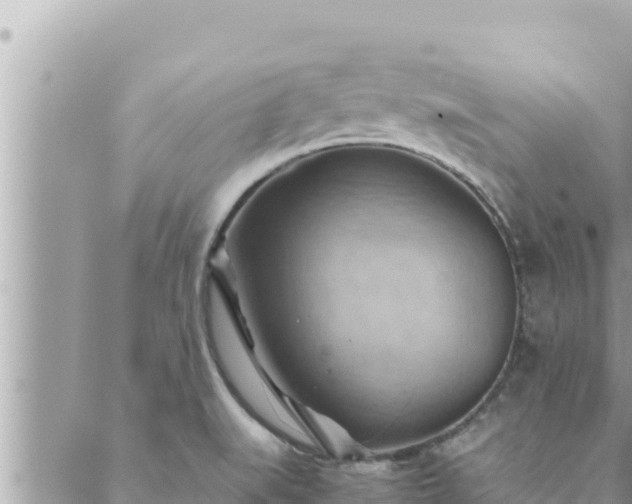 X0000088601519200706011150