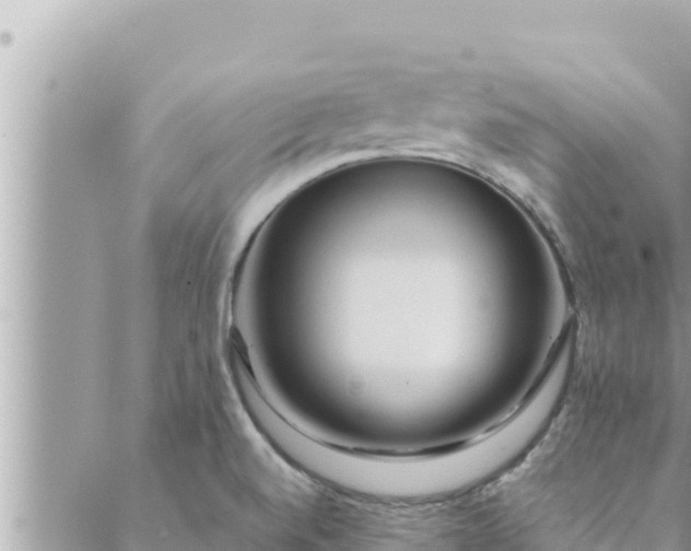 X0000088601520200706011150