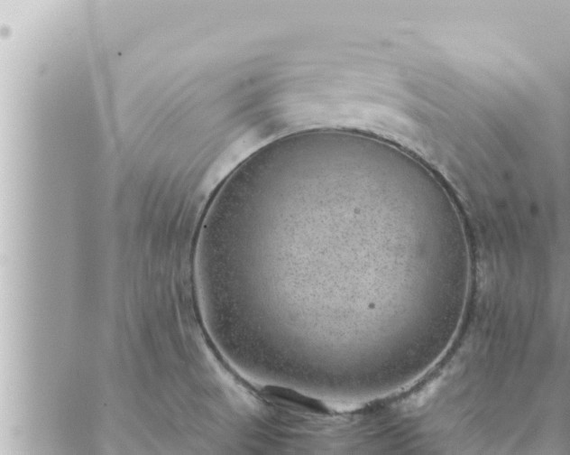 X0000088601521200706011150