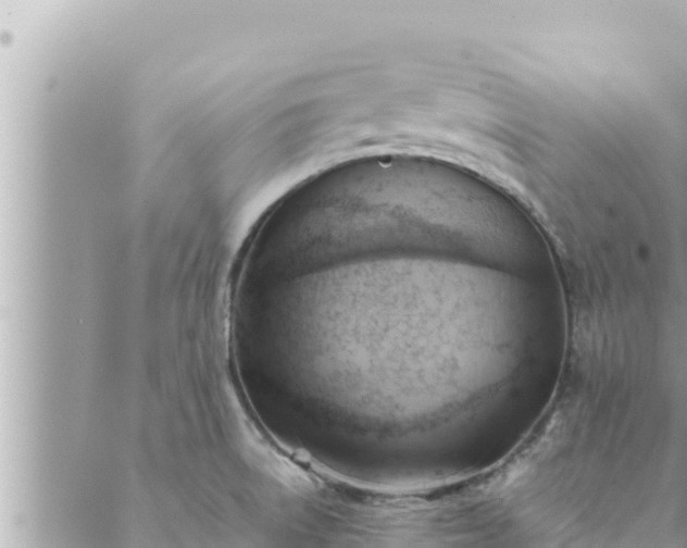 X0000088601522200706011150