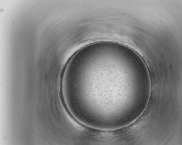 X0000088601523200706011150