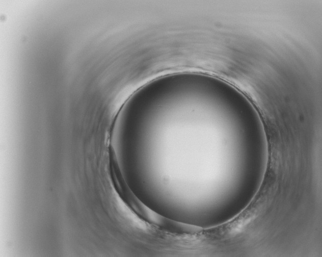 X0000088601524200706011150