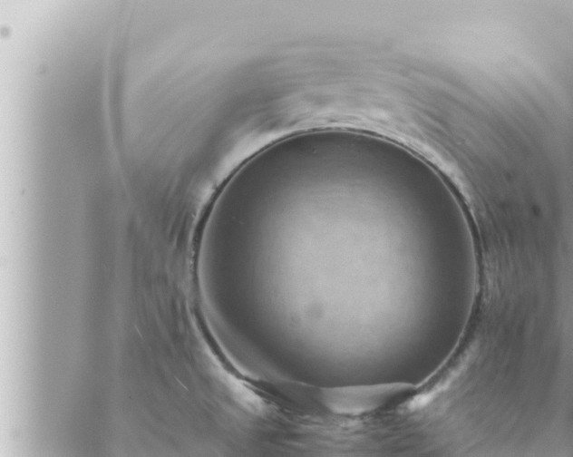 X0000088601525200706011150