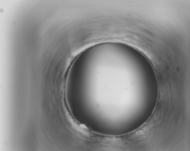 X0000088601526200706011150