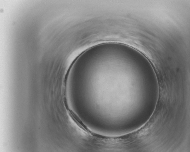 X0000088601527200706011150