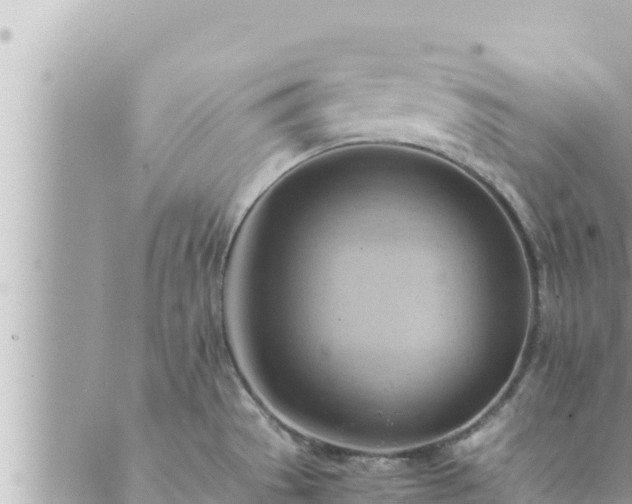 X0000088601529200706011150