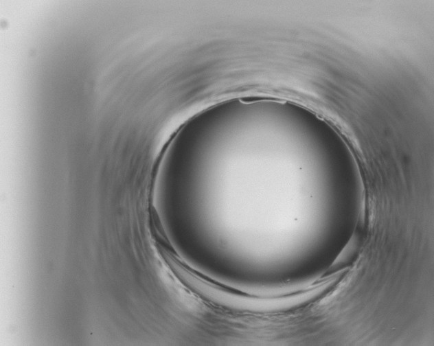 X0000088601530200706011150