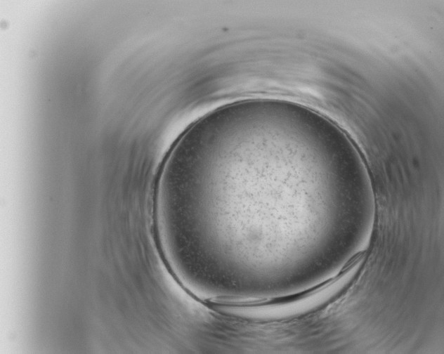 X0000088601531200706011150